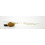 Image links to product page for Hall 11203 Crystal Piccolo in C, Dragonfly
